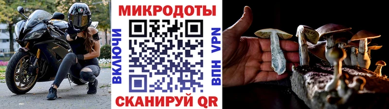 Псилоцибиновые грибы GOLDEN TEACHER  OMG онион  Шиханы 